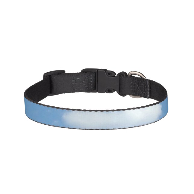 DOG COLLAR COOL ECO STYLE DESIGN (Front)