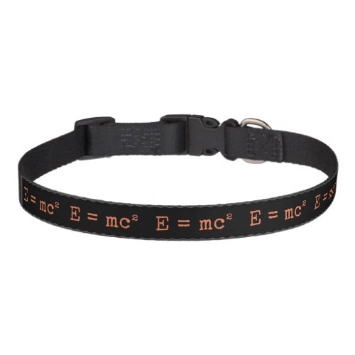 Dog Collar _ dog collar _ Einstein