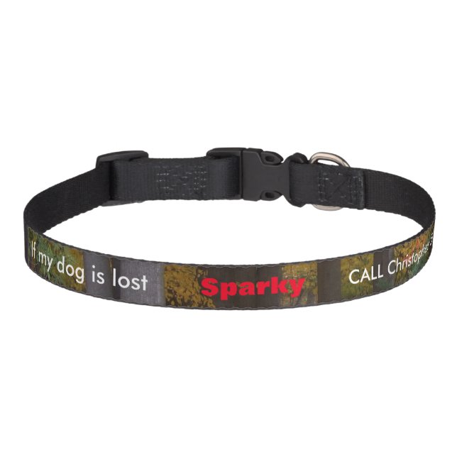 Dog Collar Pet ID Alert Name Number Fall Leaves (Front)