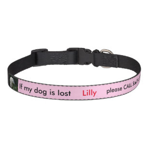 Dog Collar Pet ID White Hydrangea Pink