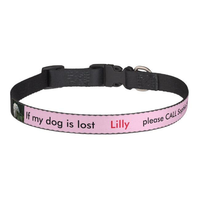 Dog Collar Pet ID White Hydrangea Pink (Front)