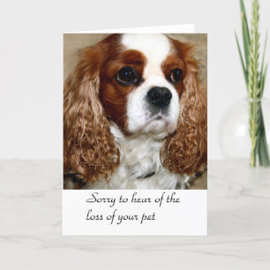 Dog Condolence Card