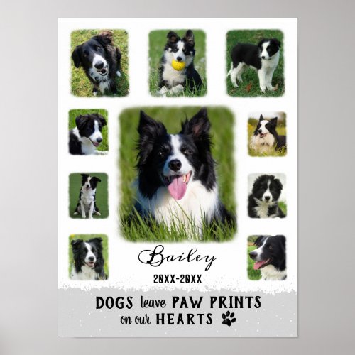 Dog Custom Photo Collage Faded Borders White Gray Poster
