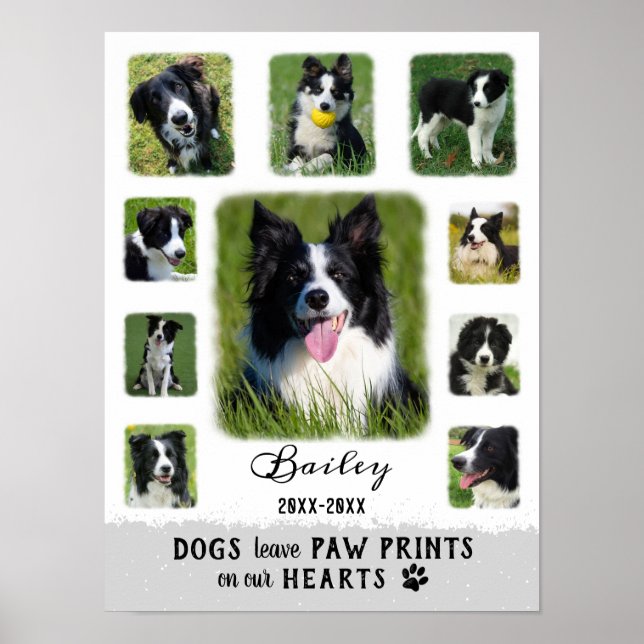 Dog Custom Photo Collage Faded Borders White Gray Poster (Front)