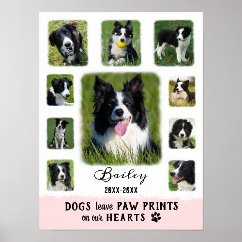 Dog Custom Photo Collage Faded Borders White Pink Poster