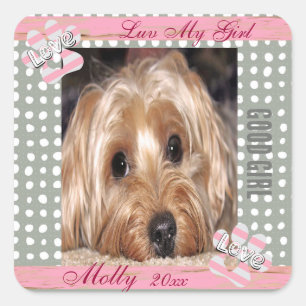 Dog Custom Photo Polka Dots Square Sticker