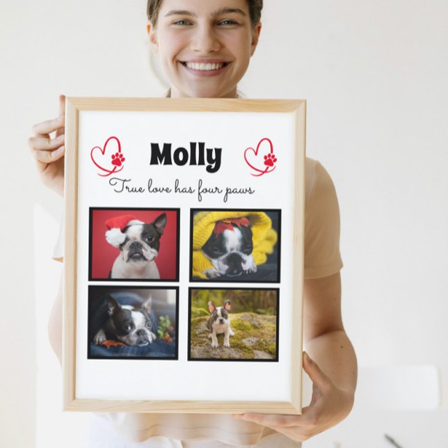 Dog customized collage 4 photos plaque (Creator Uploaded)