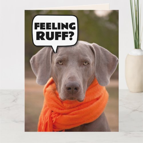 DOG CUTE GET WELL SOON Greeting Cards