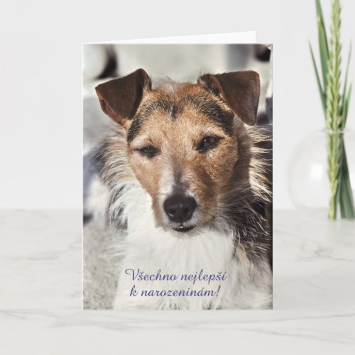 Dog Czech Birthday card