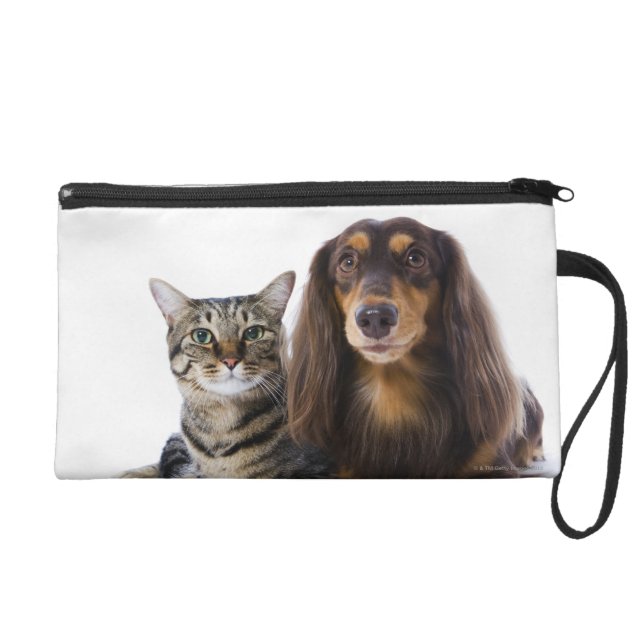 Dog (Dachshund) and cat (Japanese cat) on white Wristlet Purse (Front)