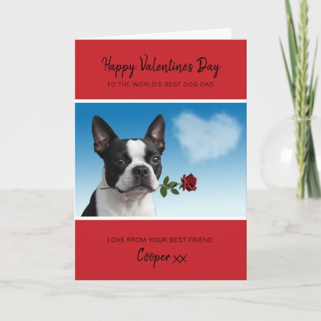 Dog Dad Valentine From Boston Terrier Holding Rose Holiday Card (Front)