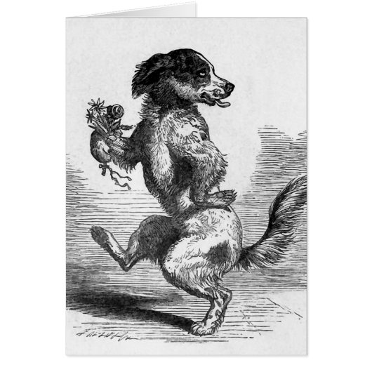 "Dog Dancing a Jig" Vintage Illustration Cards (Front)