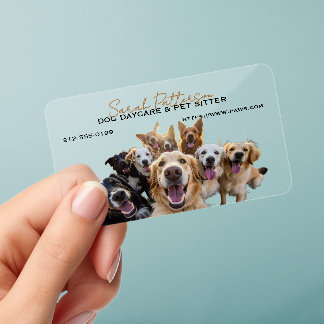 Dog Daycare Pet Sitter Cute Pack Dogs Clear Business Cards