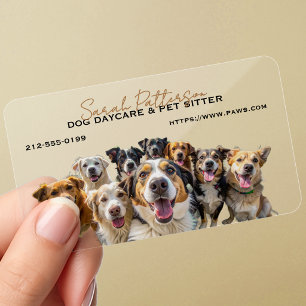 Dog Daycare Pet Sitter Cute Pack Dogs Clear Business Cards