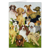 Dog Days (Front)