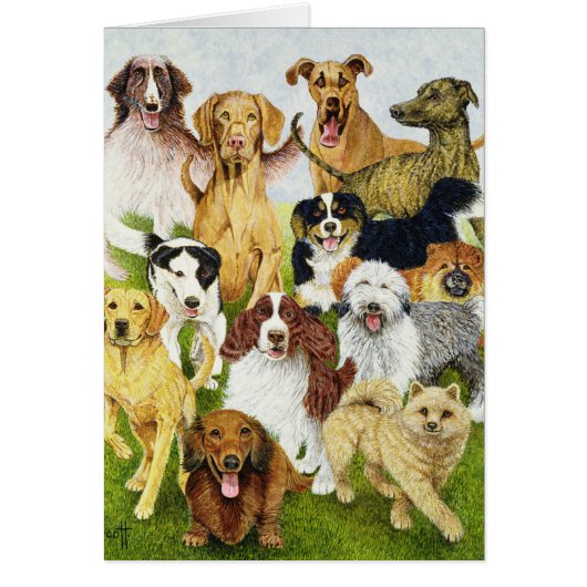 Dog Days Cards (Front)