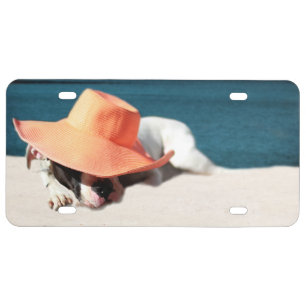 Dog Days of Summer at the Seashore License Plate