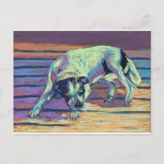 Dog Days Postcard