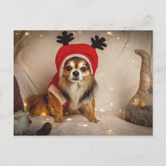 Dog Deer Postcard