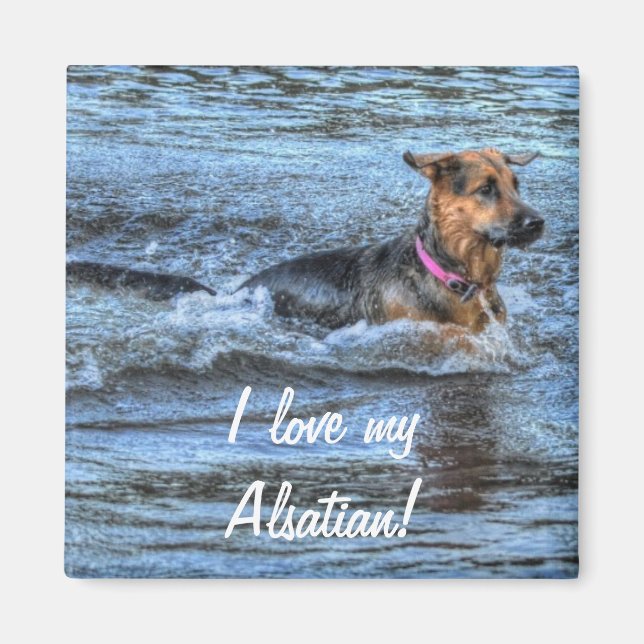 Dog Designs for Pet-lovers Magnet (Front)