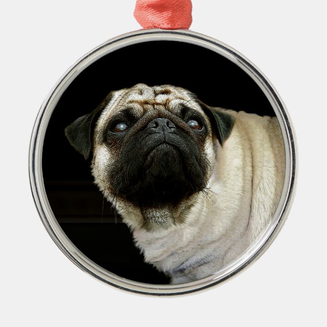 Dog Designs for Pet-lovers Metal Ornament (Front)