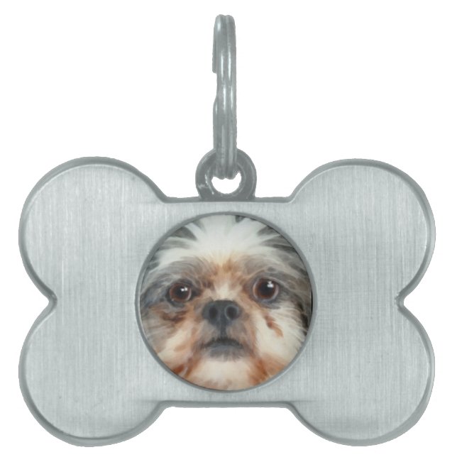 Dog Designs for Pet-lovers Pet Tag (Front)