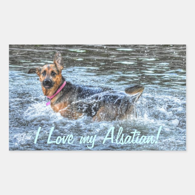 Dog Designs for Pet-lovers Rectangular Sticker (Front)