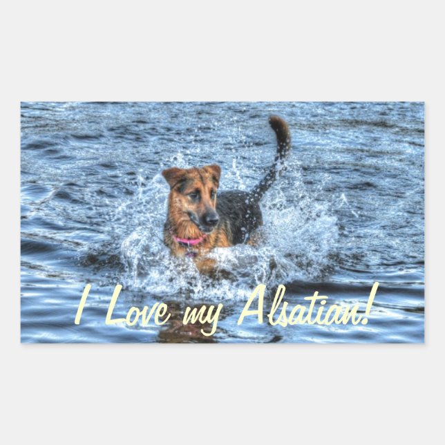 Dog Designs for Pet-lovers Rectangular Sticker (Front)