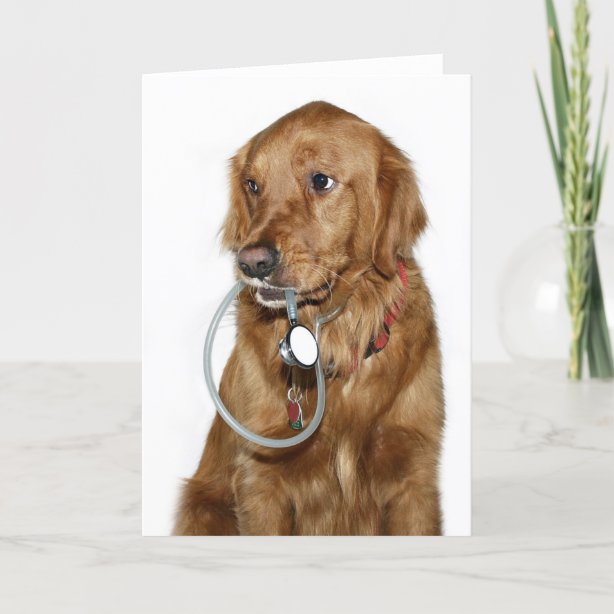 Veterinarian Cards Zazzle