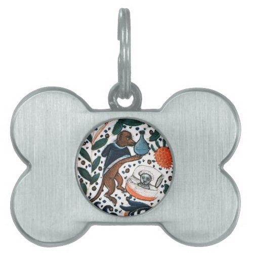 DOG DOCTOR WITH KITTEN PET TAG