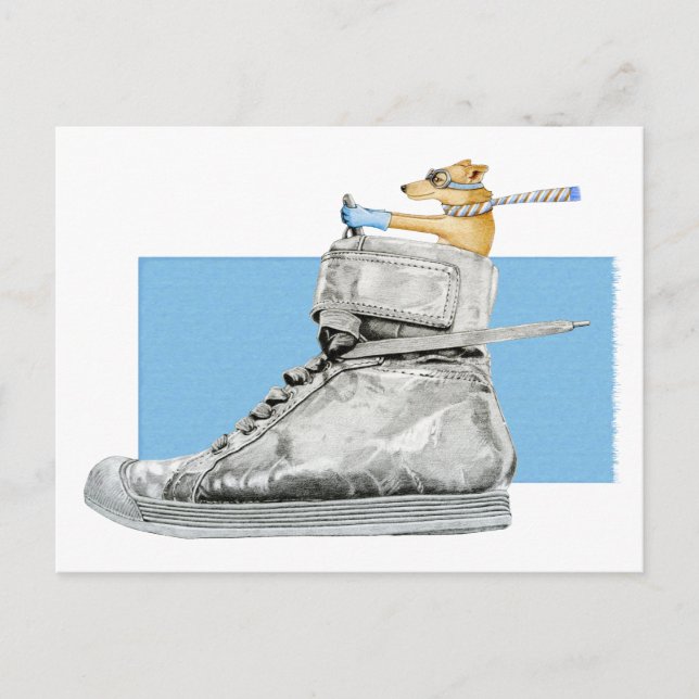 Dog Driving a Shoe 2 Postcard (Front)