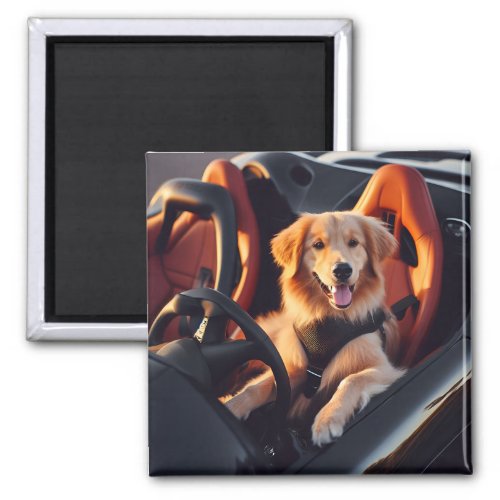 Dog Driving Magnet