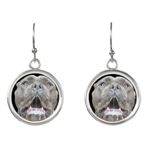 Dog Earrings _ Mastiff Dog Jewelry