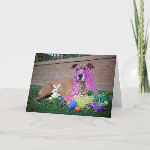 Dog Easter Card