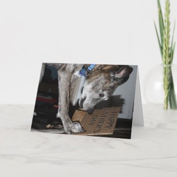 Dog Eating Father's Day Gift (the Dog Ate It) Card by gravityx9 at Zazzle