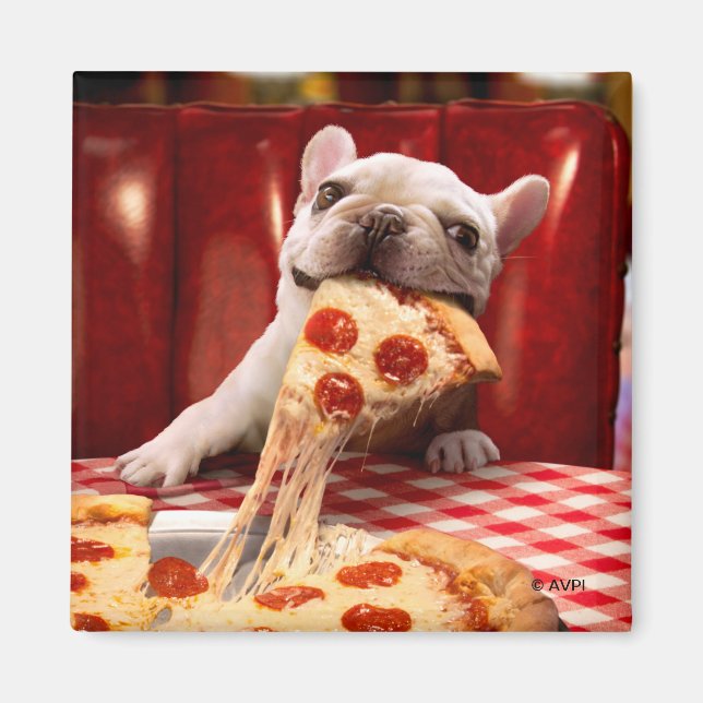 Dog Eating Pizza Slice Magnet (Front)