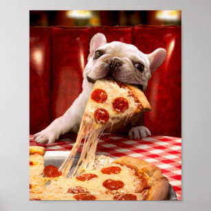 Foods Dogs Can and Can't Poster, Zazzle