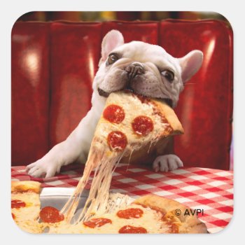 Dog Eating Pizza Slice Square Sticker by AvantiPress at Zazzle