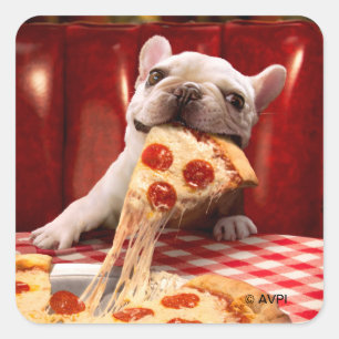 Dog Eating Pizza Slice Square Sticker