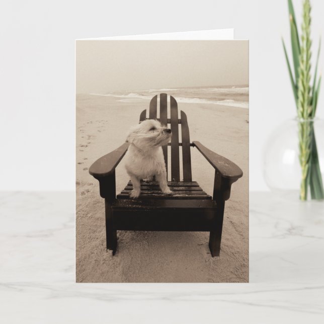 Dog Enjoying the Beach Card (Front)