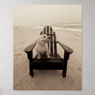 Dog Enjoying the Beach Poster