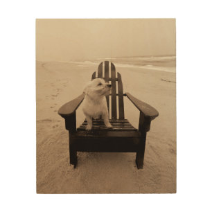 Dog Enjoying the Beach Wood Wall Art