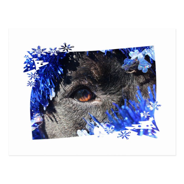 Dog eye Blue Tinsel christmas tree Frame Postcards