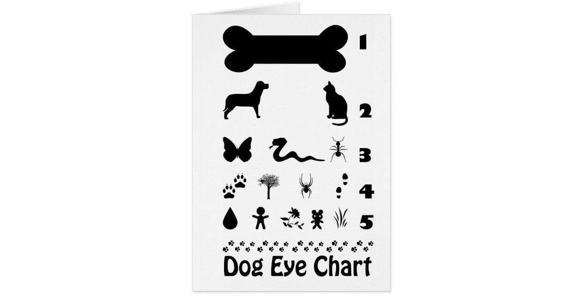Dog Eye Chart Greeting Card Zazzle