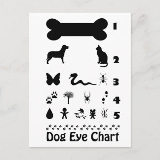 Dog Eye Chart Postcard