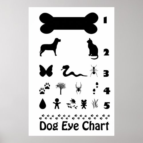 Dog Eye Chart Poster