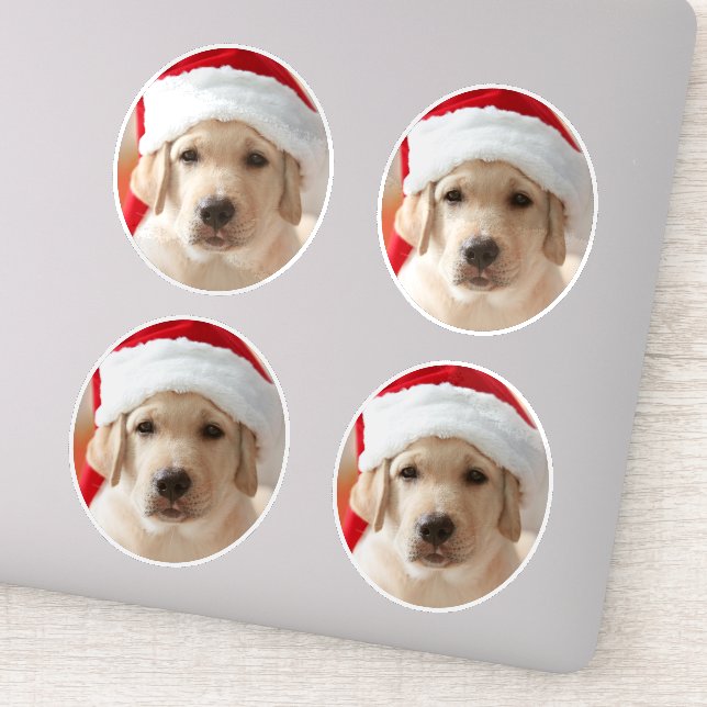 Dog Face Photo Custom Cut out Sticker (Detail)