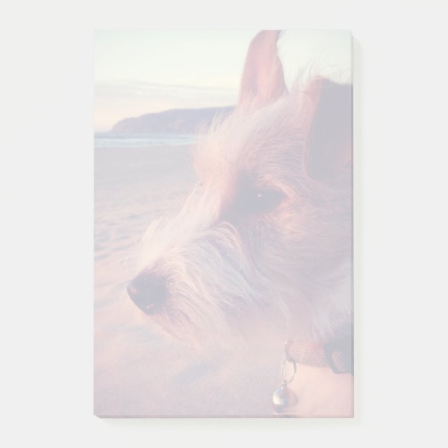 Dog Facing The Beach Post-it Notes (Front)