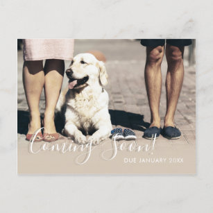 Dog Family Photo Coming Soon Pregnancy Baby Announcement Postcard