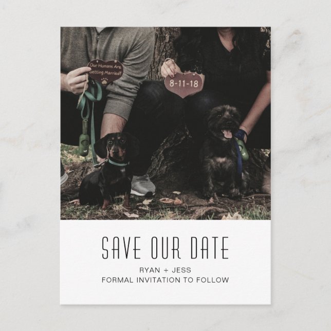 Dog Family Photo Unique Save the Date Announcement Postcard (Front)
